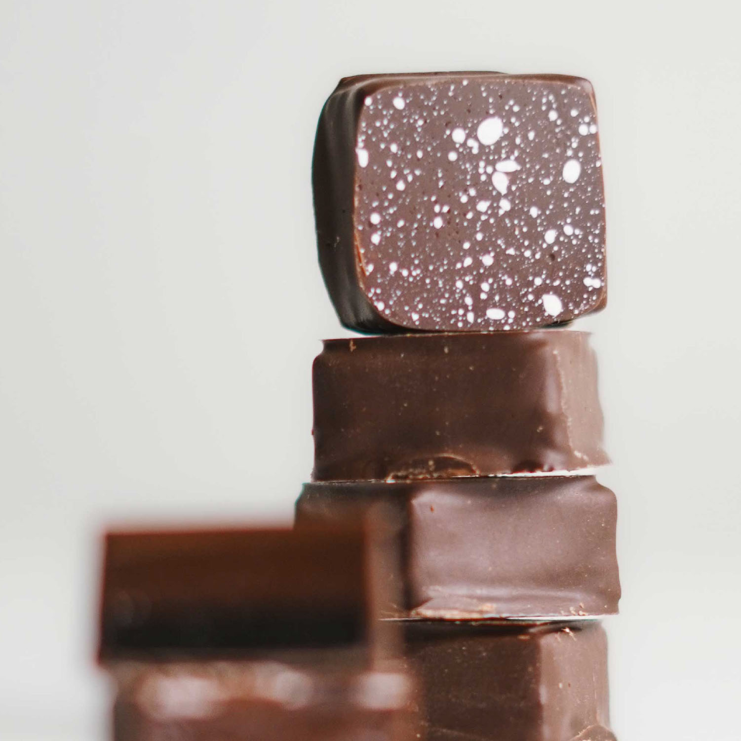 2 Weeks Intensive Chocolate Program